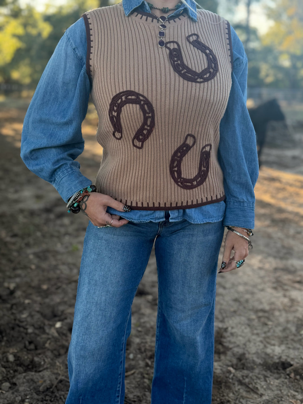 The Saddle Up Sweater Vest