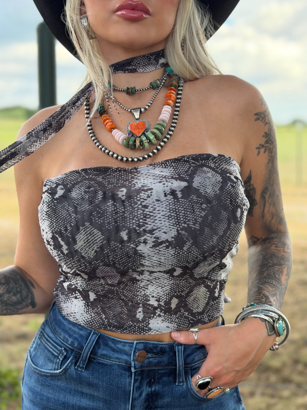 The Copper Canyon top