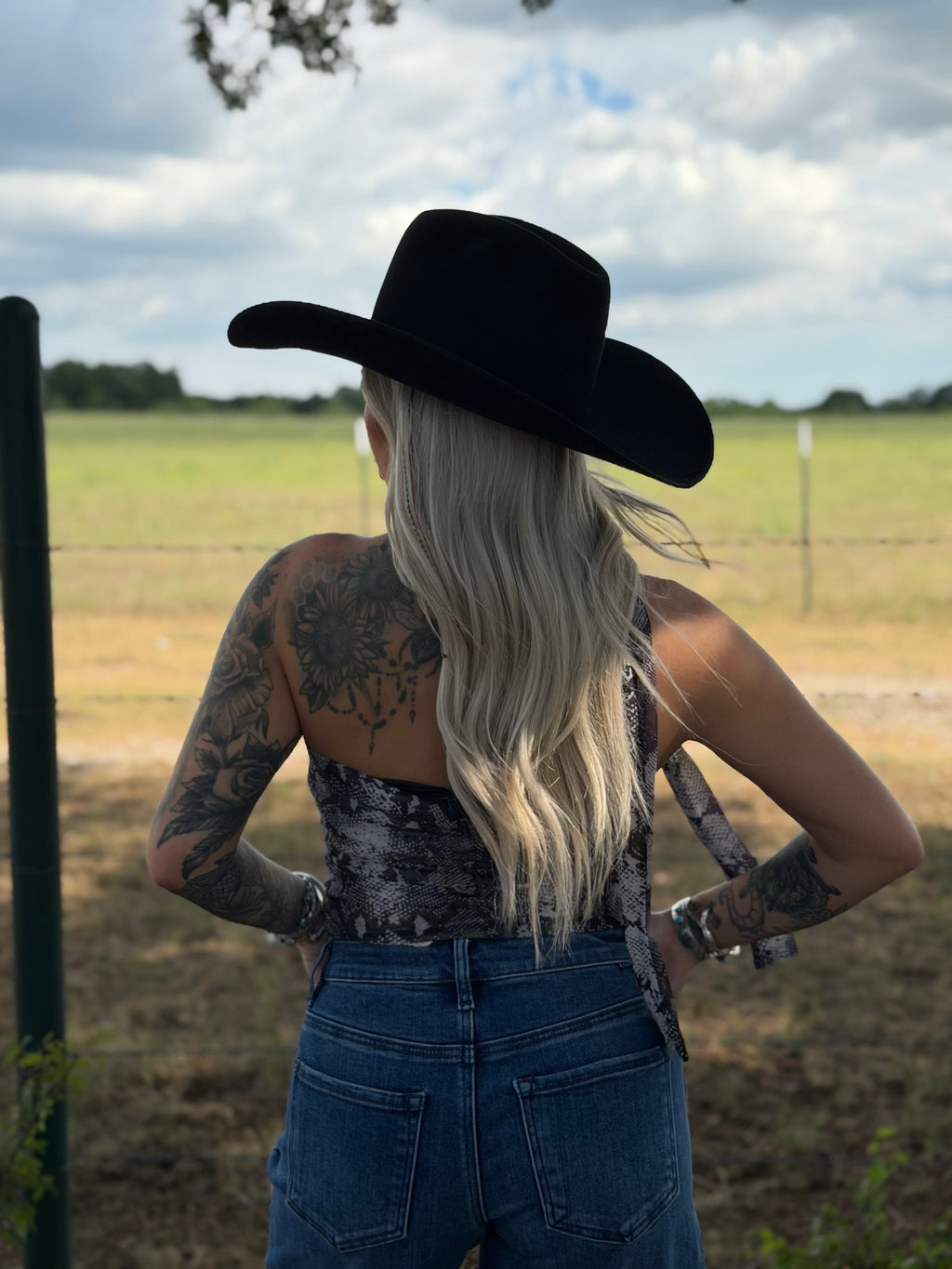The Copper Canyon top