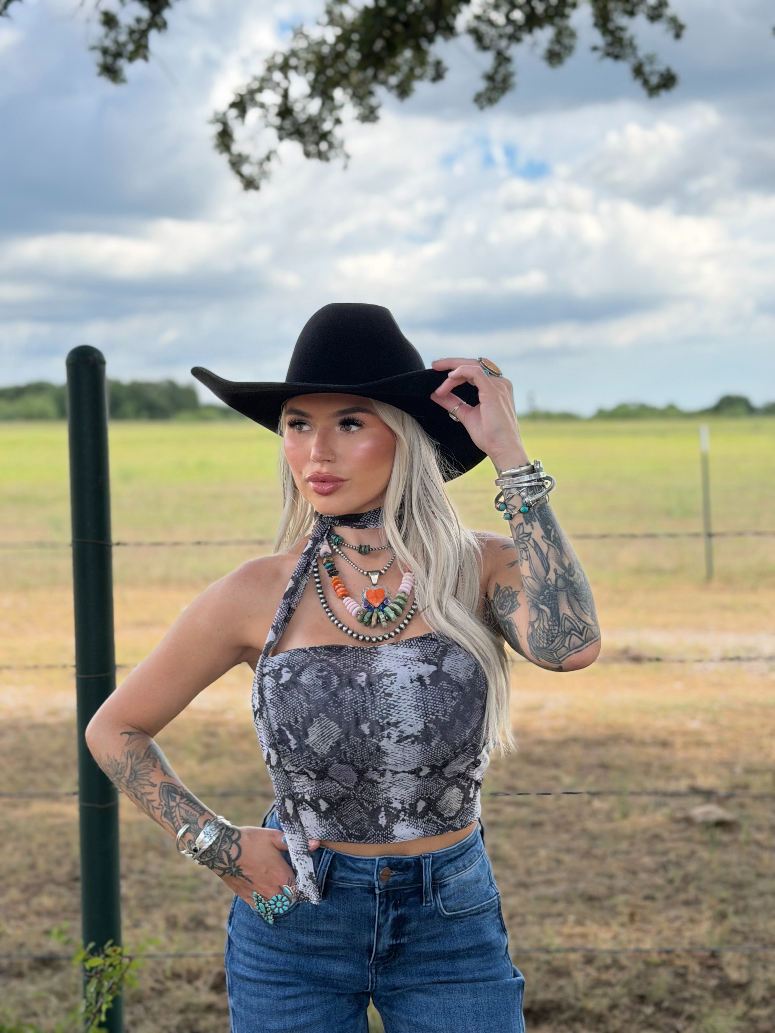 The Copper Canyon top