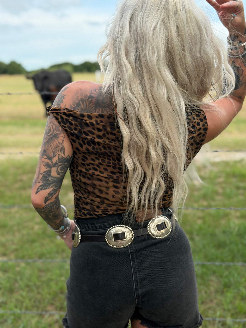 The Untamed Top